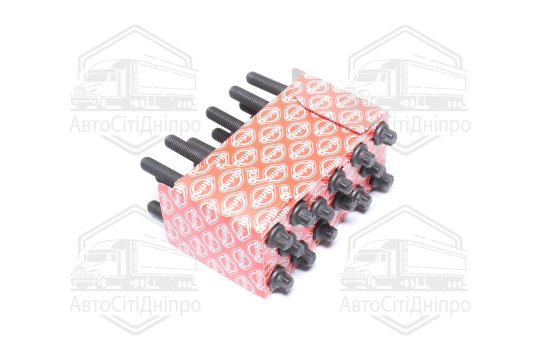 Болт головки блоку (компл.) BMW M52B20/M52B25/M52B28 (110MM) (вир-во Elring)