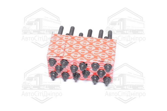 Болт головки блоку (компл.) BMW M52B20/M52B25/M52B28 (110MM) (вир-во Elring)