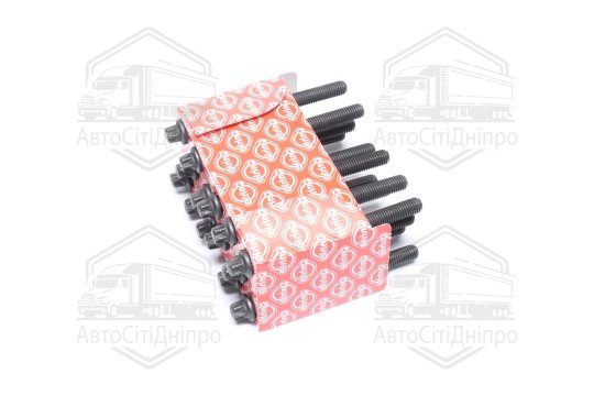 Болт головки блоку (компл.) BMW M52B20/M52B25/M52B28 (110MM) (вир-во Elring)