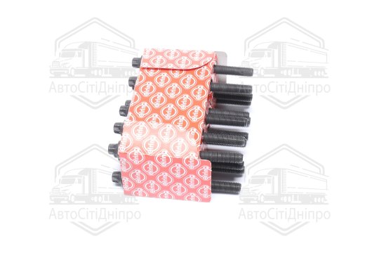 Болт головки блоку (компл.) BMW M52B20/M52B25/M52B28 (110MM) (вир-во Elring)
