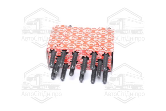 Болт головки блоку (компл.) BMW M52B20/M52B25/M52B28 (110MM) (вир-во Elring)