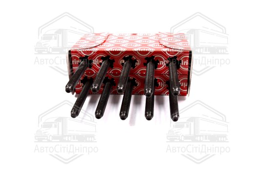 Болт головки блоку (компл.) VAG BAG/BLF/BLP (вир-во Elring)