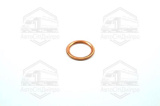 Прокладка зливної горловини двигуна 16X22X2 (вир-во Elring)