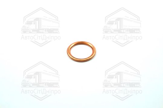 Прокладка зливної горловини двигуна 16X22X2 (вир-во Elring)
