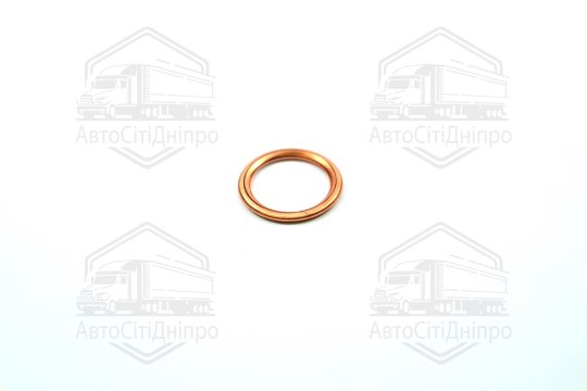 Прокладка зливної горловини двигуна 16X22X2 (вир-во Elring)