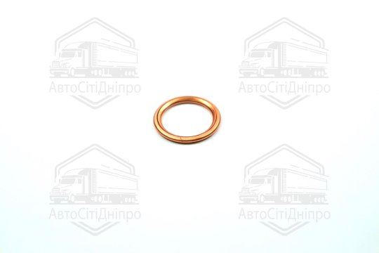 Прокладка зливної горловини двигуна 16X22X2 (вир-во Elring)