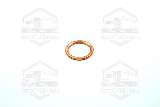 Прокладка зливної горловини двигуна 16X22X2 (вир-во Elring)
