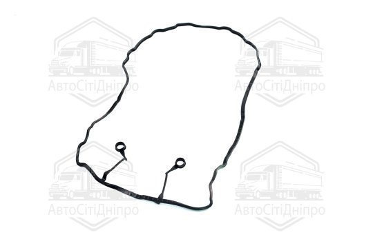 Прокладка кришки головки циліндрів Hyundai/Kia 2,0 16V F4NA/G4NA/G4NB/G4NC 10- (вир-во Elring)