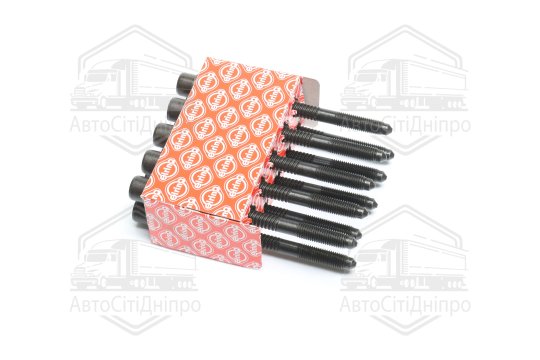 Комплект болтів головки цилідра VAG 1,8/2,0 16V 6A/9A/KR/PL/ABF/ACE (вир-во Elring)