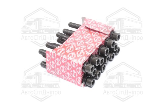 Болт головки блоку (компл.) VW 2.4D/TD DW/1S (6CYL) (вир-во Elring)