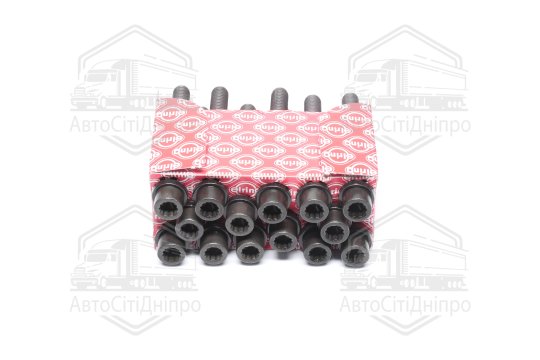 Болт головки блоку (компл.) VW 2.4D/TD DW/1S (6CYL) (вир-во Elring)