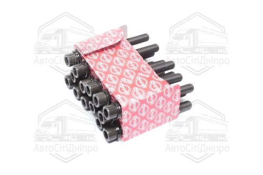 Болт головки блоку (компл.) VW 2.4D/TD DW/1S (6CYL) (вир-во Elring)