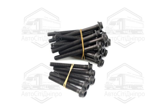 Болт головки цилідра (компл.) MB OM602 (вир-во Elring)