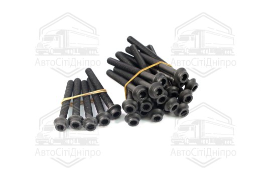 Болт головки цилідра (компл.) MB OM602 (вир-во Elring)