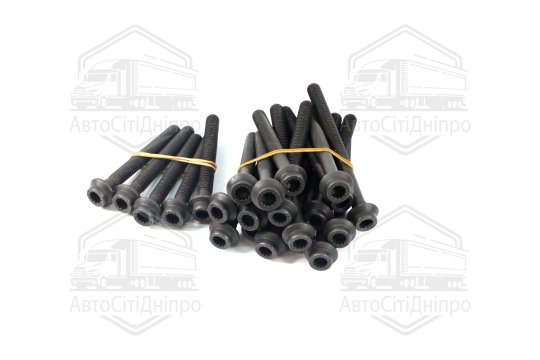 Болт головки цилідра (компл.) MB OM602 (вир-во Elring)