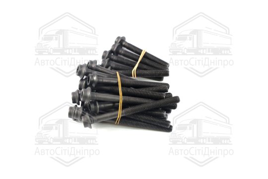 Болт головки цилідра (компл.) MB OM602 (вир-во Elring)