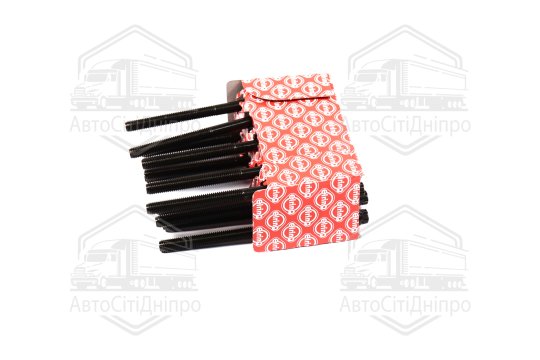 Комплект болтів головки цилідра BMW M20B20 (вир-во Elring)