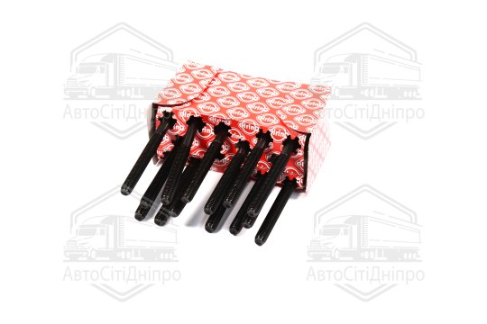 Комплект болтів головки цилідра BMW M20B20 (вир-во Elring)