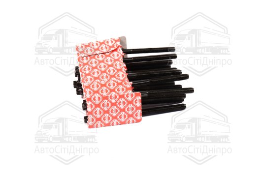 Комплект болтів головки цилідра BMW M20B20 (вир-во Elring)