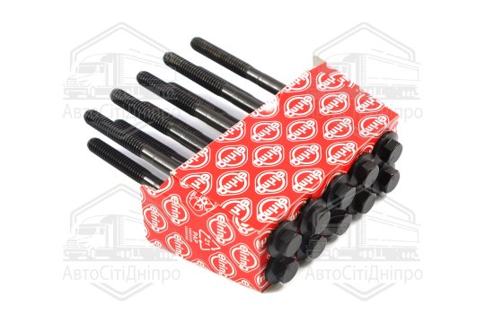 Комплект болтів головки блоку циліндрів OPEL 2,0 16V A 20 NFT 06.2013- (вир-во Elring)