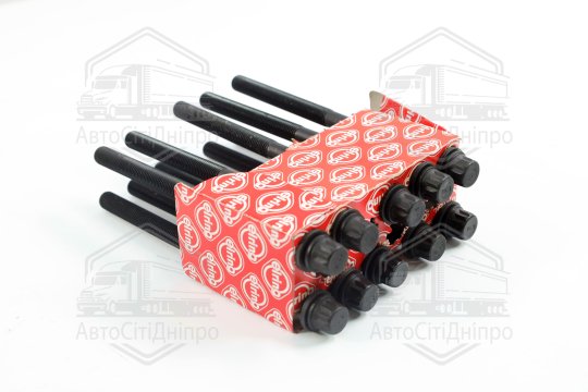 Комплект болтів головки блоку циліндрів HYUNDAI/OPEL/CHEVROLET 2.0 CRD D4EA EURO 3 (вир-во Elring)