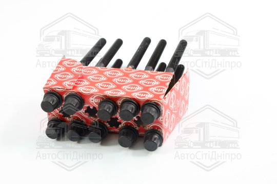 Комплект болтів головки блоку циліндрів HYUNDAI/OPEL/CHEVROLET 2.0 CRD D4EA EURO 3 (вир-во Elring)