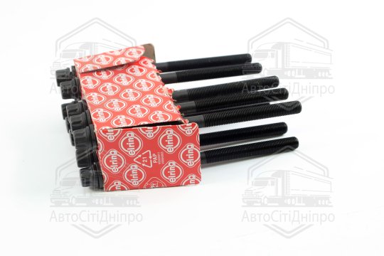 Комплект болтів головки блоку циліндрів HYUNDAI/OPEL/CHEVROLET 2.0 CRD D4EA EURO 3 (вир-во Elring)