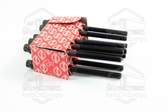 Комплект болтів головки блоку циліндрів HYUNDAI/OPEL/CHEVROLET 2.0 CRD D4EA EURO 3 (вир-во Elring)