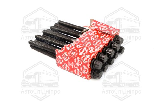 Комплект болтів головки циліндрів HYUNDAI 2.0 CRD D4EA/D4EB EURO 4 (вир-во Elring)