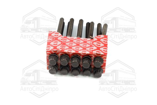 Комплект болтів головки циліндрів HYUNDAI 2.0 CRD D4EA/D4EB EURO 4 (вир-во Elring)