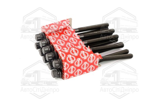 Комплект болтів головки циліндрів HYUNDAI 2.0 CRD D4EA/D4EB EURO 4 (вир-во Elring)