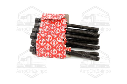 Комплект болтів головки циліндрів HYUNDAI 2.0 CRD D4EA/D4EB EURO 4 (вир-во Elring)