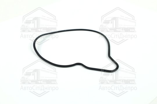 Прокладка водяний насос VAG 3,0 TDI V6 (вир-во Elring)