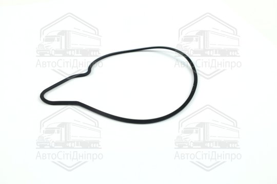 Прокладка водяний насос VAG 3,0 TDI V6 (вир-во Elring)