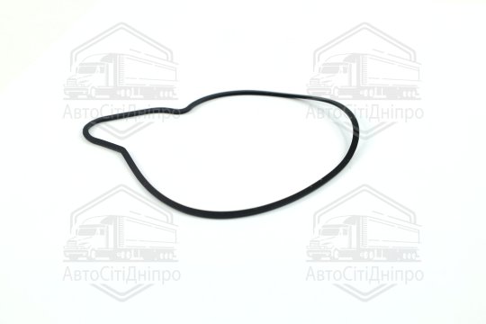 Прокладка водяний насос VAG 3,0 TDI V6 (вир-во Elring)