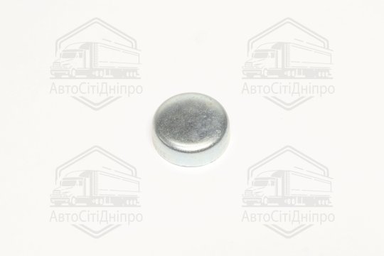 Заглушка блоку OPEL d 28mm (вир-во FEBI)