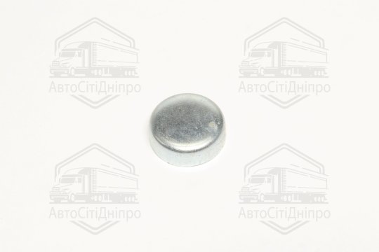 Заглушка блоку OPEL d 28mm (вир-во FEBI)