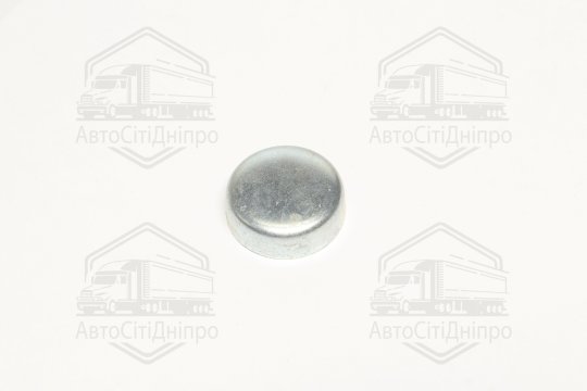 Заглушка блоку OPEL d 28mm (вир-во FEBI)