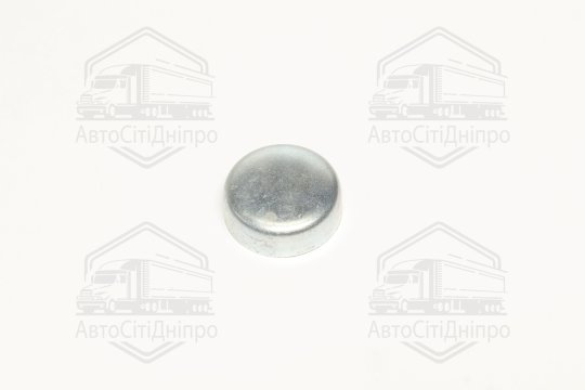 Заглушка блоку OPEL d 28mm (вир-во FEBI)