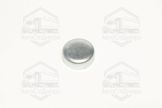 Заглушка блоку OPEL d 28mm (вир-во FEBI)