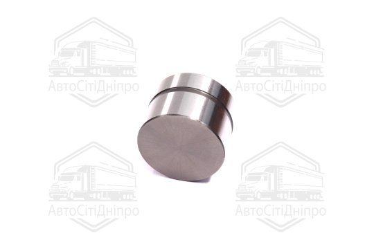 Гідрокомпенсатор VAG/ЗМЗ 406 (вир-во FEBI)