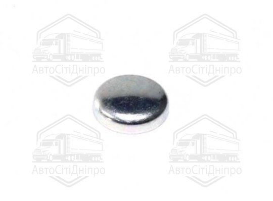 Заглушка блоку VAG d 24mm (вир-во FEBI)