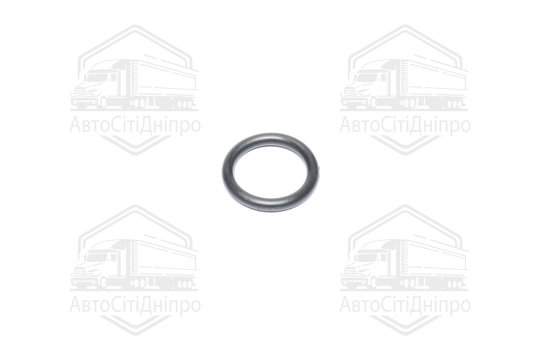 Прокладка фланця охолоджувальної рідини (вир-во Febi)