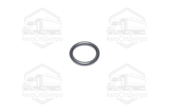 Прокладка фланця охолоджувальної рідини (вир-во Febi)