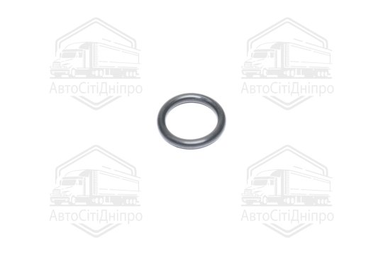 Прокладка фланця охолоджувальної рідини (вир-во Febi)