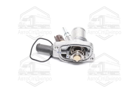 Термостат з корпусом, ущільненням та термовимикачем (вир-во FEBI)