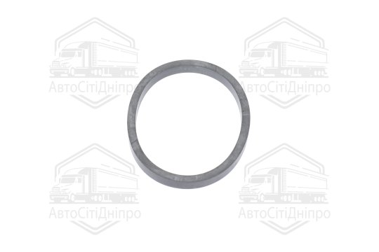 Прокладка масляного радіатора (вир-во Febi)