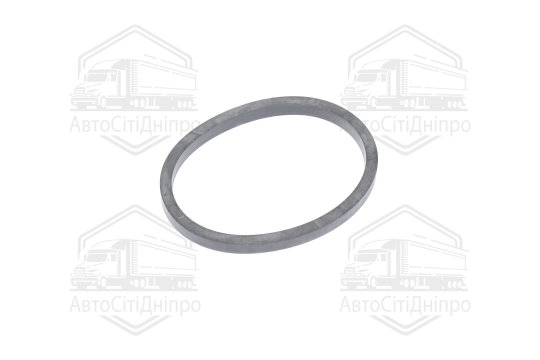 Прокладка масляного радіатора (вир-во Febi)