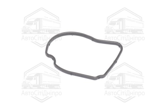 Прокладка для термостату (вир-во Febi)