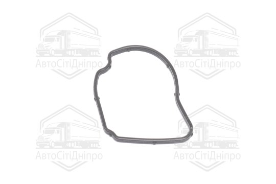 Прокладка для термостату (вир-во Febi)